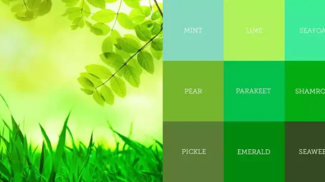 Sofa bed và giường gấp màu xanh lá: hợp phòng nào, giữ màu ra sao
