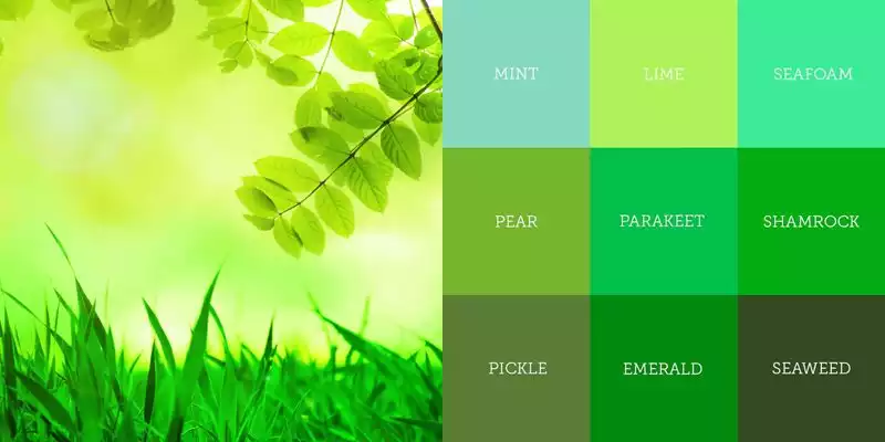Sofa bed bọc vải màu xanh lá trong phòng khách sáng